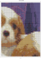 /album/esquemas-no-estan-completos-como-ejemplos-/perritos-5-png/
